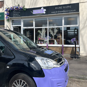 Shop-van-street view
