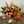 Load image into Gallery viewer, Florist Choice