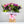 Load image into Gallery viewer, Hayley Aqua Pack - Soft, pretty and delicate lilac floral arrangement of Lisianthus, long lasting Carnations, Alstromeria and Liminioum. Seasonal bouquet in an aqua pack for same day delivery in Bournemouth.