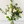 Load image into Gallery viewer, Danielle Vase - A classic, stylish and sophisticated natural white bouquet with greenery and eucalyptus displayed in a vase, for next day delivery in Bournemouth.
