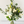 Load image into Gallery viewer, Danielle Vase - A classic, stylish and sophisticated natural white bouquet with greenery and eucalyptus displayed in a vase, for next day delivery in Bournemouth.