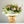 Load image into Gallery viewer, Sophie Aqua Pack - elegant, calm and relaxing pastel bouquet with Freesia, handpicked Delphinium and soft foliage. Displayed in an aqua pack for same day delivery in Bournemouth.