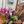 Load image into Gallery viewer, A woman with blonde hair wearing a black and orange floral patterned top holds a large, vibrant flower bouquet in a shop setting. The bouquet features pink, purple, blue, and white flowers with green foliage, including eucalyptus.
