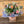 Load image into Gallery viewer, A mixed floral bouquet with pink roses, peach roses, white daisies, lavender, and green foliage, wrapped in pale blue paper and a peach ribbon, with a small card reading 'HILFIGUR' at the base, set against a wooden plank background.

