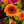 Load image into Gallery viewer, A large sympathy Double Ended Spray - funeral florals made to your theme and requirement. Bright, colourful, vivid funeral flowers
