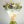 Load image into Gallery viewer, Sophie Hand-tied - elegant, calm and relaxing pastel bouquet with Freesia, handpicked Delphinium and soft foliage. Hand-tied for same day delivery in Bournemouth.
